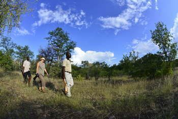 Mutale Falls Safari Camp Hotel Mukato Game Reserve Buitenkant foto